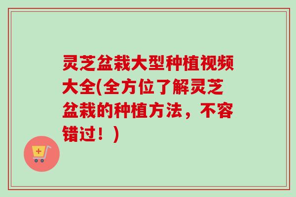 灵芝盆栽大型种植视频大全(全方位了解灵芝盆栽的种植方法，不容错过！)