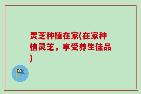 灵芝种植在家(在家种植灵芝，享受养生佳品)