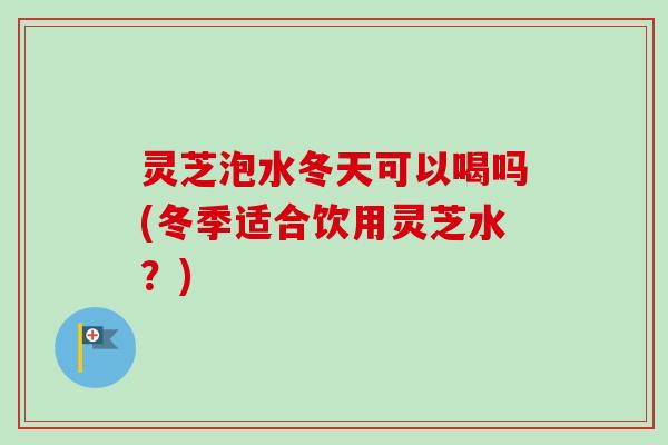 灵芝泡水冬天可以喝吗(冬季适合饮用灵芝水？)