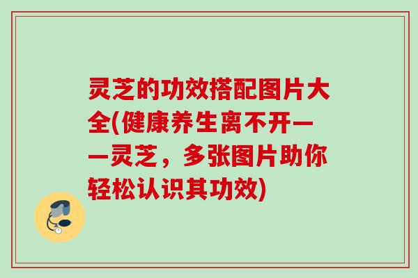 灵芝的功效搭配图片大全(健康养生离不开——灵芝，多张图片助你轻松认识其功效)