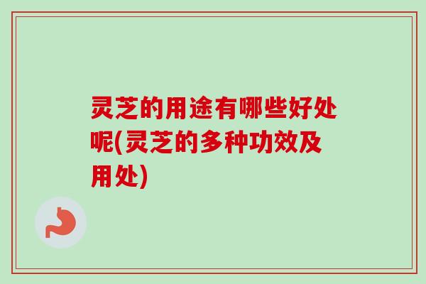 灵芝的用途有哪些好处呢(灵芝的多种功效及用处)