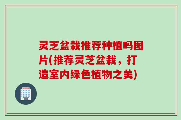 灵芝盆栽推荐种植吗图片(推荐灵芝盆栽，打造室内绿色植物之美)