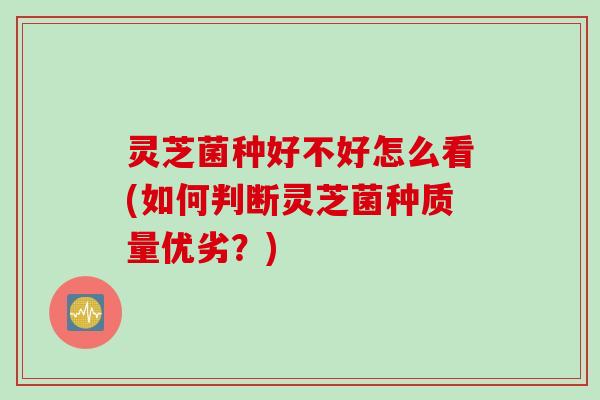 灵芝菌种好不好怎么看(如何判断灵芝菌种质量优劣？)