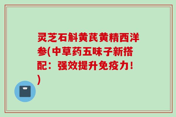灵芝石斛黄芪黄精西洋参(中草药五味子新搭配：强效提升免疫力！)