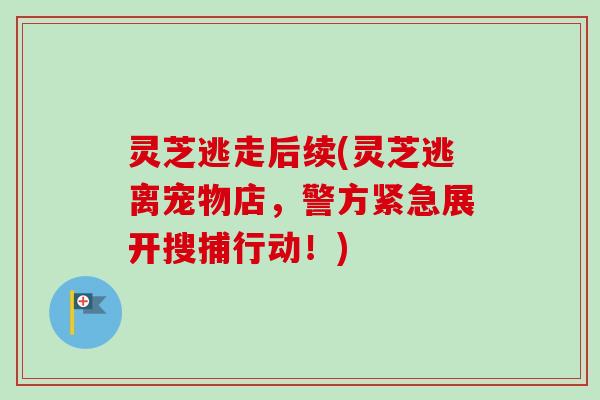 灵芝逃走后续(灵芝逃离宠物店，警方紧急展开搜捕行动！)