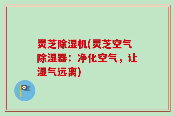 灵芝除湿机(灵芝空气除湿器：净化空气，让湿气远离)