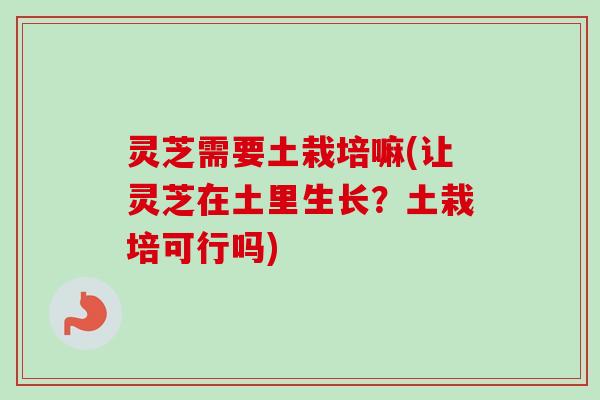 灵芝需要土栽培嘛(让灵芝在土里生长？土栽培可行吗)