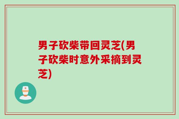 男子砍柴带回灵芝(男子砍柴时意外采摘到灵芝)