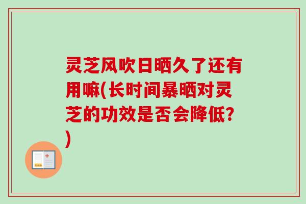 灵芝风吹日晒久了还有用嘛(长时间暴晒对灵芝的功效是否会降低？)