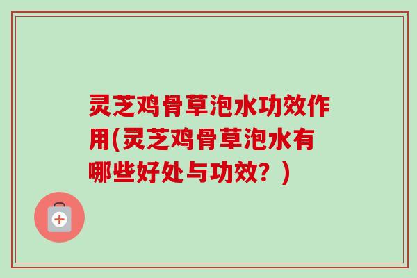 灵芝鸡骨草泡水功效作用(灵芝鸡骨草泡水有哪些好处与功效？)