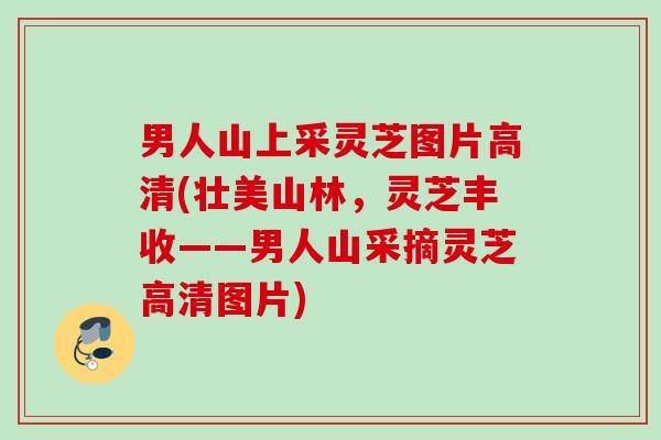 男人山上采灵芝图片高清(壮美山林，灵芝丰收——男人山采摘灵芝高清图片)