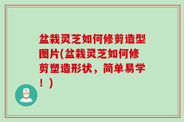 盆栽灵芝如何修剪造型图片(盆栽灵芝如何修剪塑造形状，简单易学！)