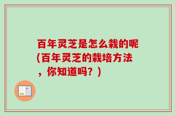 百年灵芝是怎么栽的呢(百年灵芝的栽培方法，你知道吗？)