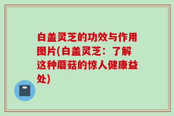 白盖灵芝的功效与作用图片(白盖灵芝：了解这种蘑菇的惊人健康益处)