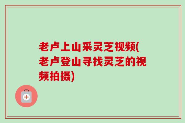 老卢上山采灵芝视频(老卢登山寻找灵芝的视频拍摄)