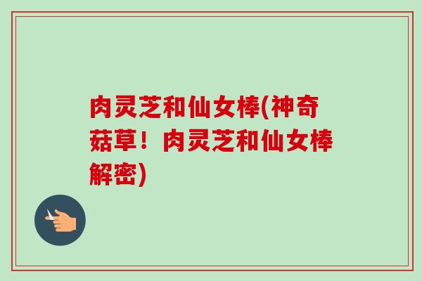 肉灵芝和仙女棒(神奇菇草！肉灵芝和仙女棒解密)