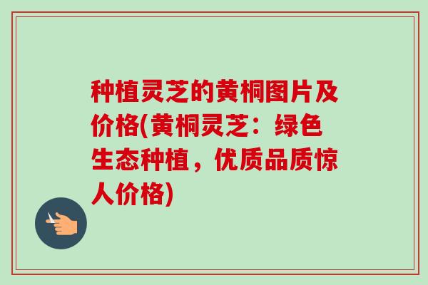 种植灵芝的黄桐图片及价格(黄桐灵芝：绿色生态种植，优质品质惊人价格)