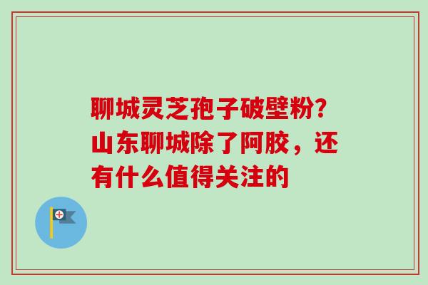 聊城灵芝孢子破壁粉？山东聊城除了阿胶，还有什么值得关注的