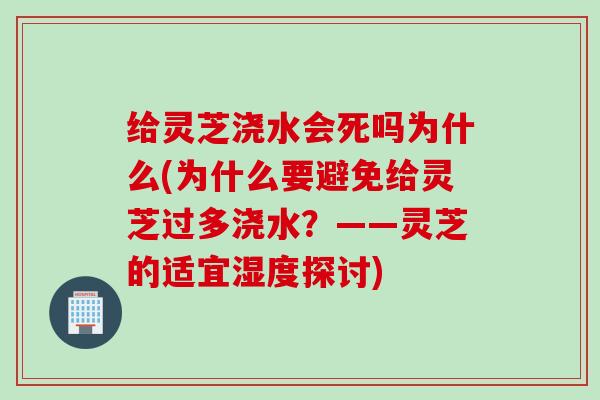 给灵芝浇水会死吗为什么(为什么要避免给灵芝过多浇水？——灵芝的适宜湿度探讨)