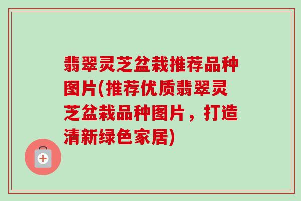 翡翠灵芝盆栽推荐品种图片(推荐优质翡翠灵芝盆栽品种图片，打造清新绿色家居)