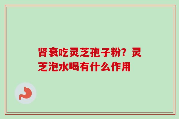 肾衰吃灵芝孢子粉？灵芝泡水喝有什么作用