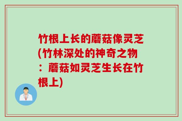 竹根上长的蘑菇像灵芝(竹林深处的神奇之物：蘑菇如灵芝生长在竹根上)