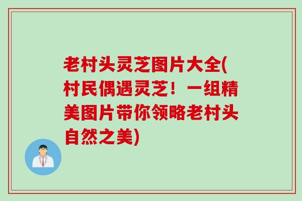 老村头灵芝图片大全(村民偶遇灵芝！一组精美图片带你领略老村头自然之美)