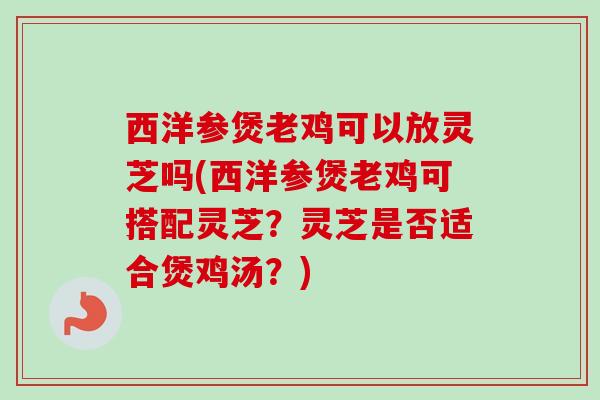 西洋参煲老鸡可以放灵芝吗(西洋参煲老鸡可搭配灵芝？灵芝是否适合煲鸡汤？)