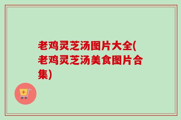 老鸡灵芝汤图片大全(老鸡灵芝汤美食图片合集)