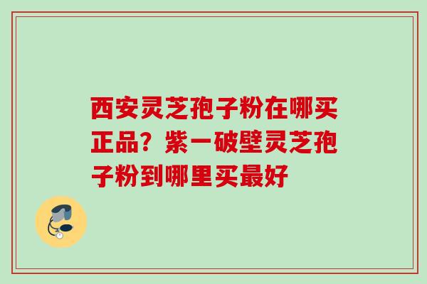 西安灵芝孢子粉在哪买正品？紫一破壁灵芝孢子粉到哪里买最好