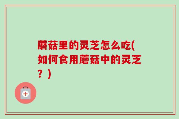 蘑菇里的灵芝怎么吃(如何食用蘑菇中的灵芝?) 蘑菇里的灵芝怎么吃(如何食用蘑菇中的灵芝?)