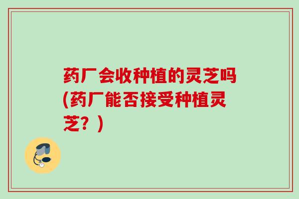 药厂会收种植的灵芝吗(药厂能否接受种植灵芝？)