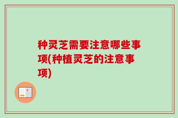 种灵芝需要注意哪些事项(种植灵芝的注意事项)
