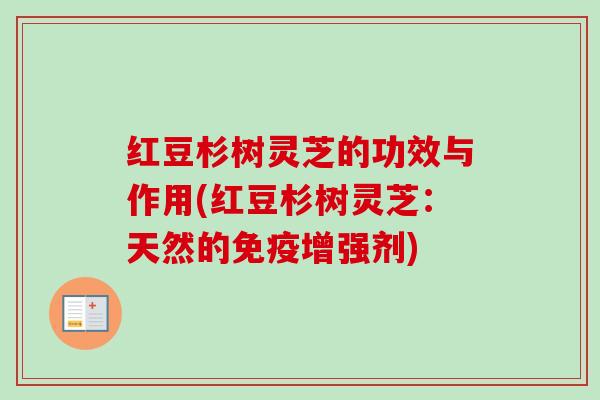 红豆杉树灵芝的功效与作用(红豆杉树灵芝：天然的免疫增强剂)