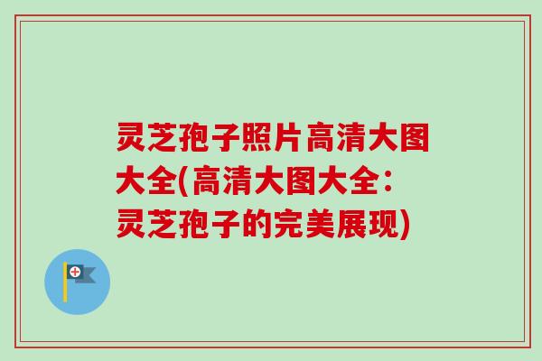 灵芝孢子照片高清大图大全(高清大图大全：灵芝孢子的完美展现)