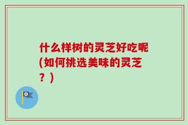 什么样树的灵芝好吃呢(如何挑选美味的灵芝？)