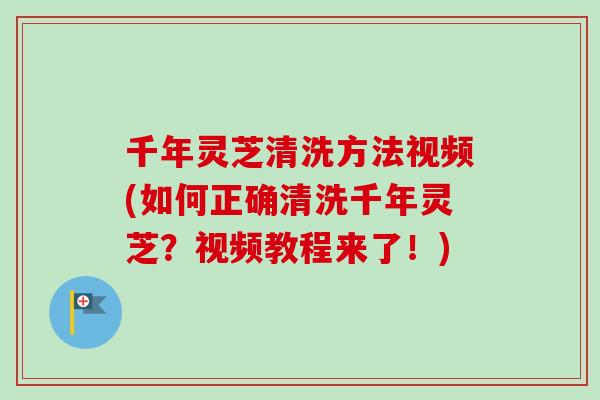 千年灵芝清洗方法视频(如何正确清洗千年灵芝?视频教程来了!) 千年灵芝清洗方法视频(如何正确清洗千年灵芝?视频教程来了!)