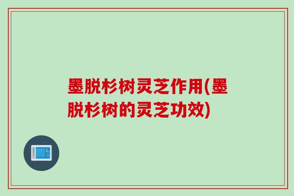 墨脱杉树灵芝作用(墨脱杉树的灵芝功效)