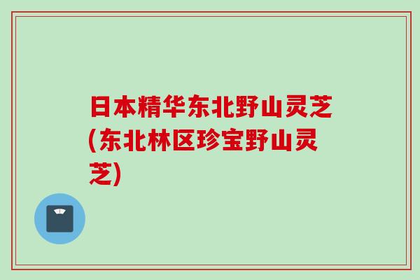 日本精华东北野山灵芝(东北林区珍宝野山灵芝)
