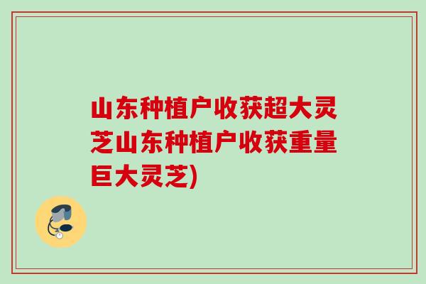 山东种植户收获超大灵芝山东种植户收获重量巨大灵芝)
