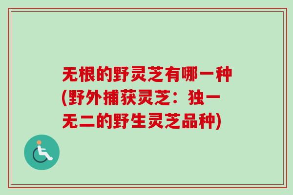 无根的野灵芝有哪一种(野外捕获灵芝：独一无二的野生灵芝品种)