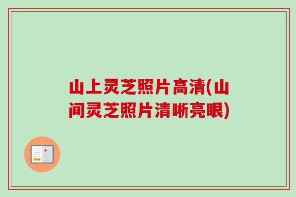 山上灵芝照片高清(山间灵芝照片清晰亮眼)