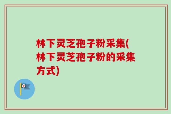 林下灵芝孢子粉采集(林下灵芝孢子粉的采集方式)
