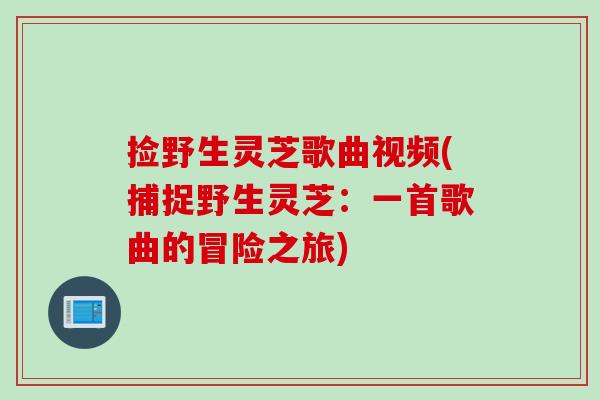 捡野生灵芝歌曲视频(捕捉野生灵芝：一首歌曲的冒险之旅)