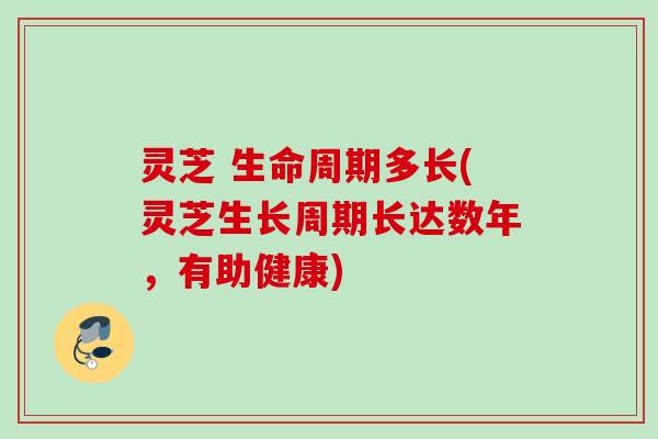 灵芝 生命周期多长(灵芝生长周期长达数年，有助健康)
