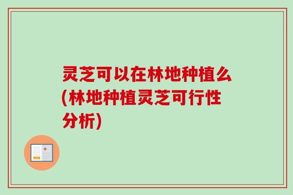 灵芝可以在林地种植么(林地种植灵芝可行性分析)