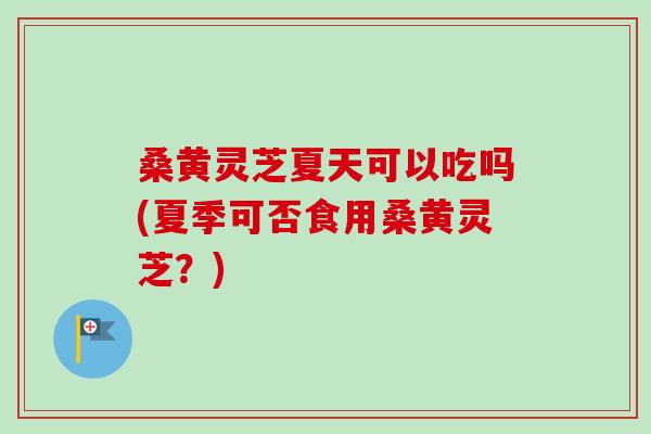 桑黄灵芝夏天可以吃吗(夏季可否食用桑黄灵芝？)