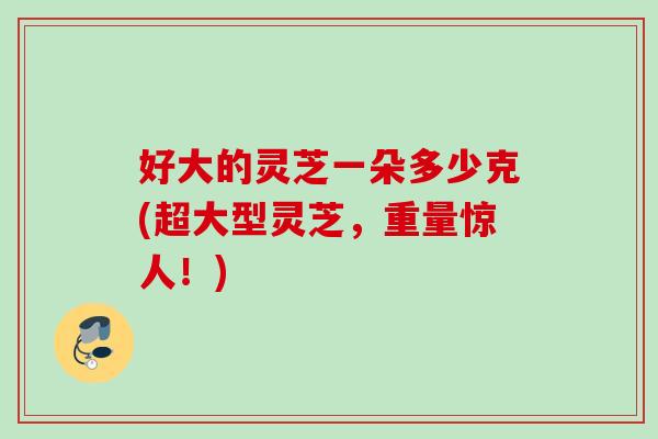 好大的灵芝一朵多少克(超大型灵芝，重量惊人！)