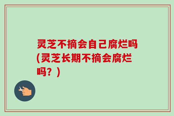 灵芝不摘会自己腐烂吗(灵芝长期不摘会腐烂吗？)