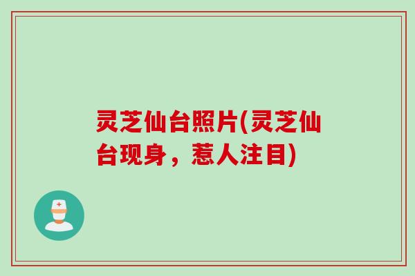 灵芝仙台照片(灵芝仙台现身，惹人注目)